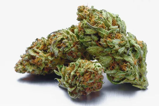 CBD Pros & Cons