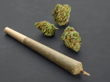 Delta-8 THC Moonrock Pre-Rolls available at Canna Ocho, manufactured by Destino Farms, Inc